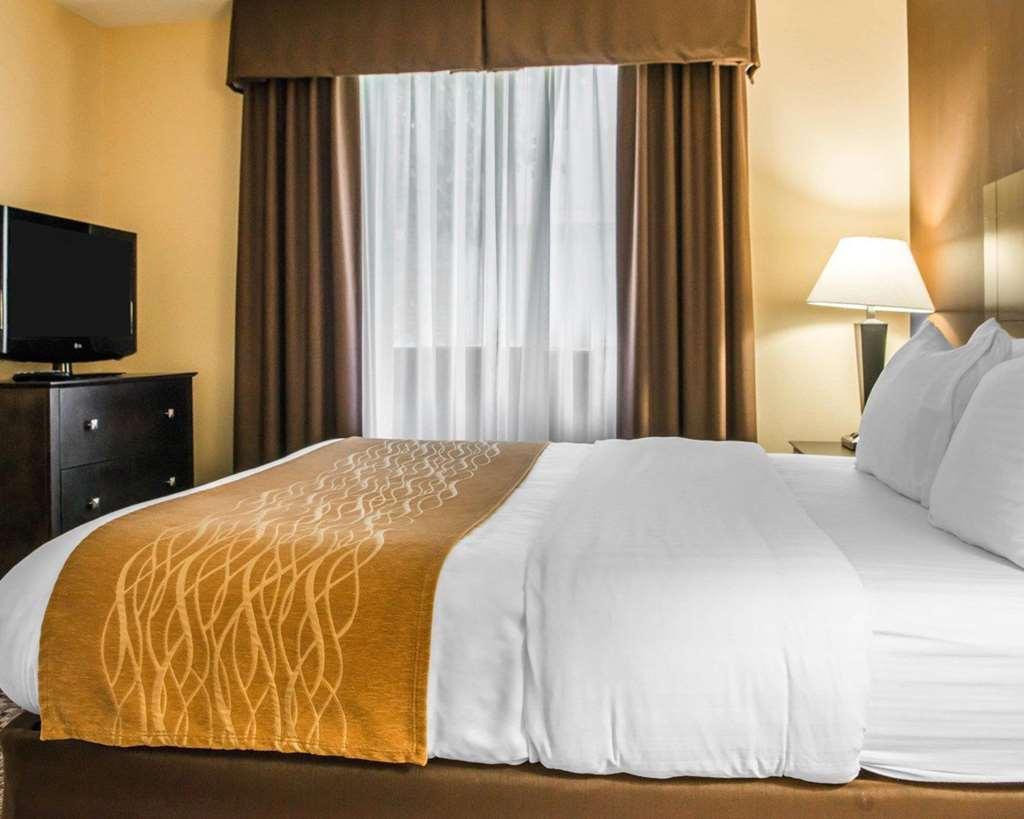 Comfort Inn & Suites Montrose Hill Cameră foto